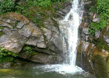 Trek to Rimbi Waterfall
